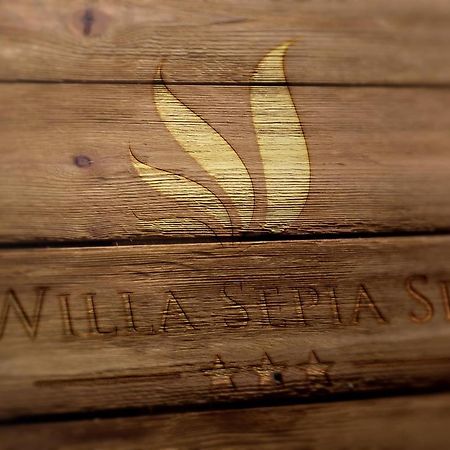 Willa Sepia SPA Wisła Esterno foto